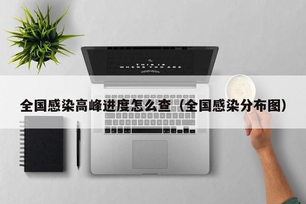 全国感染高峰进度怎么查（全国感染分布图）