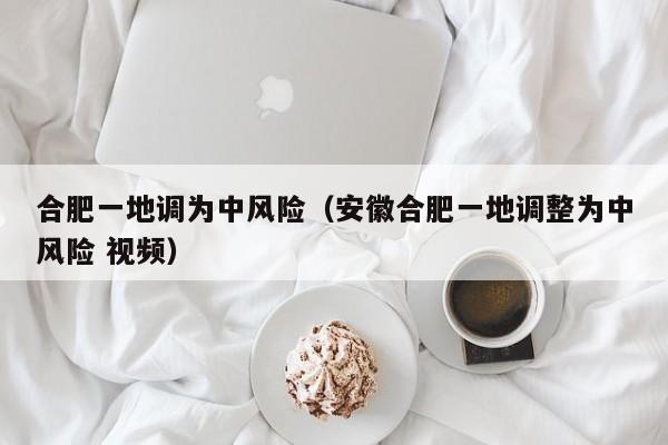 合肥一地调为中风险（安徽合肥一地调整为中风险 视频）