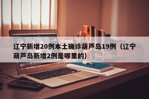 辽宁新增20例本土确诊葫芦岛19例（辽宁葫芦岛新增2例是哪里的）