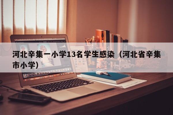河北辛集一小学13名学生感染（河北省辛集市小学）