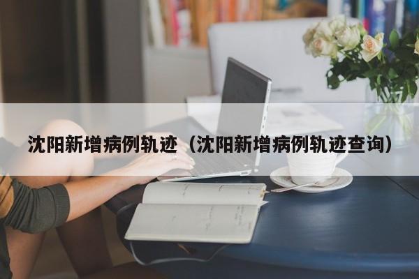沈阳新增病例轨迹（沈阳新增病例轨迹查询）