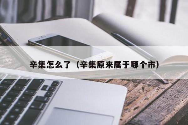辛集怎么了（辛集原来属于哪个市）