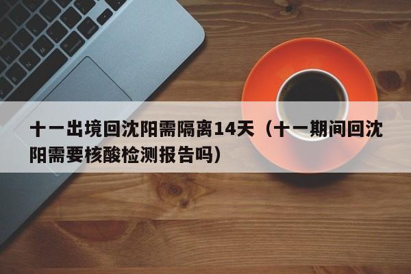 十一出境回沈阳需隔离14天（十一期间回沈阳需要核酸检测报告吗）