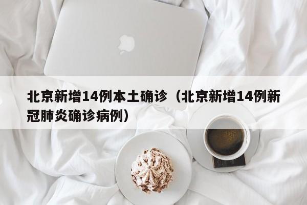 北京新增14例本土确诊（北京新增14例新冠肺炎确诊病例）