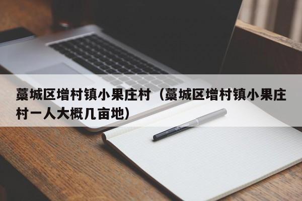 藁城区增村镇小果庄村（藁城区增村镇小果庄村一人大概几亩地）