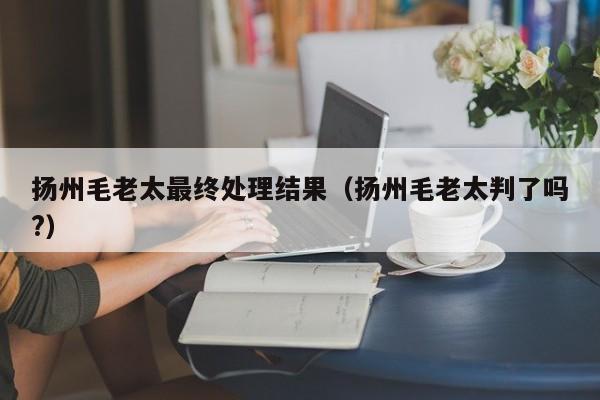 扬州毛老太最终处理结果（扬州毛老太判了吗?）