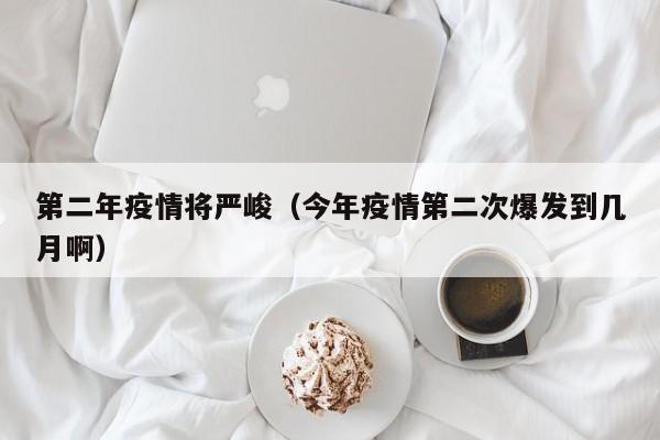 第二年疫情将严峻（今年疫情第二次爆发到几月啊）