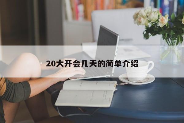 20大开会几天的简单介绍