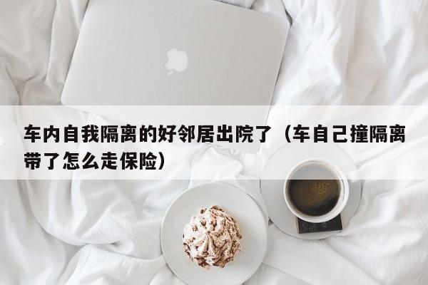 车内自我隔离的好邻居出院了（车自己撞隔离带了怎么走保险）