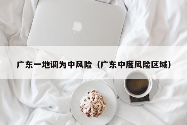 广东一地调为中风险（广东中度风险区域）
