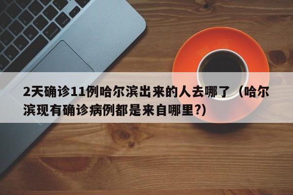 2天确诊11例哈尔滨出来的人去哪了（哈尔滨现有确诊病例都是来自哪里?）